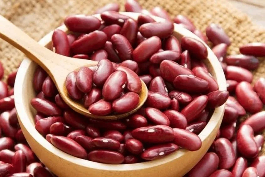 Các loại hạt đậu nấu cháo cho bé đa dạng