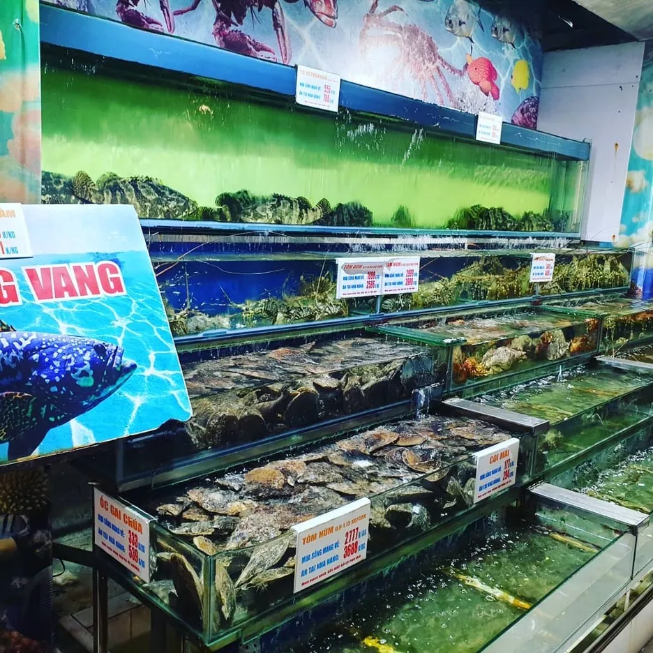 Hệ thống bể nuôi hải sản sống tại Biển Đông