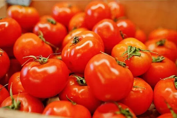 Cách chọn cà chua tươi ngon