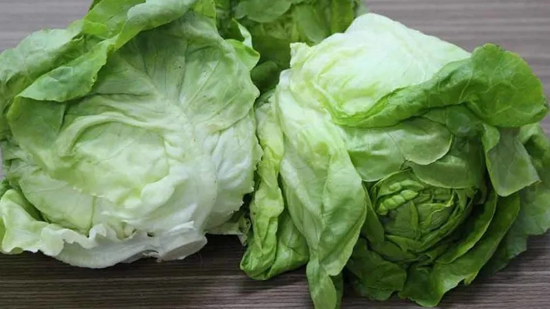 Xà lách, rau diếp giúp giảm độ ngấy thịt mỡ