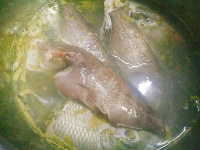 Quá trình nấu cá đù trong nước sôi để giữ độ ngọt