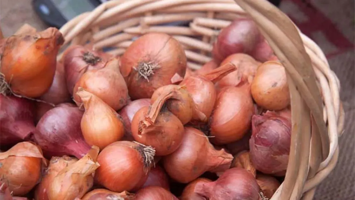 Sơ chế hành khô và gia vị ướp thịt