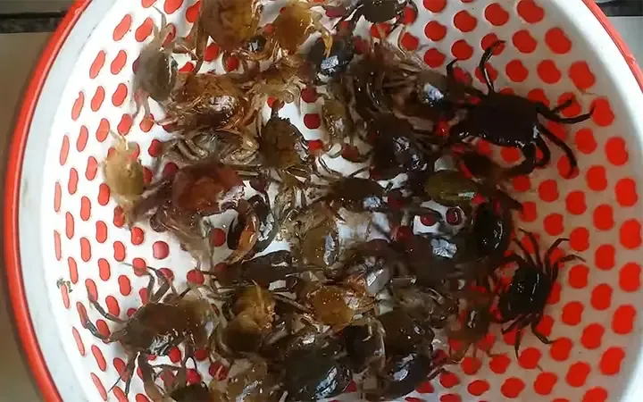 Chuẩn bị nguyên liệu cho món canh cua đồng bí đao