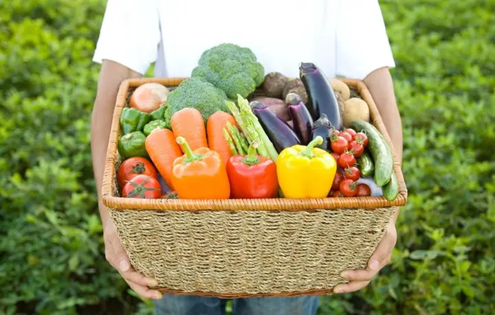 Hướng Dẫn Chi Tiết Cách Nấu Bột Với Nước Dashi Cho Bé Ăn Dặm Chuẩn Vị Nhật