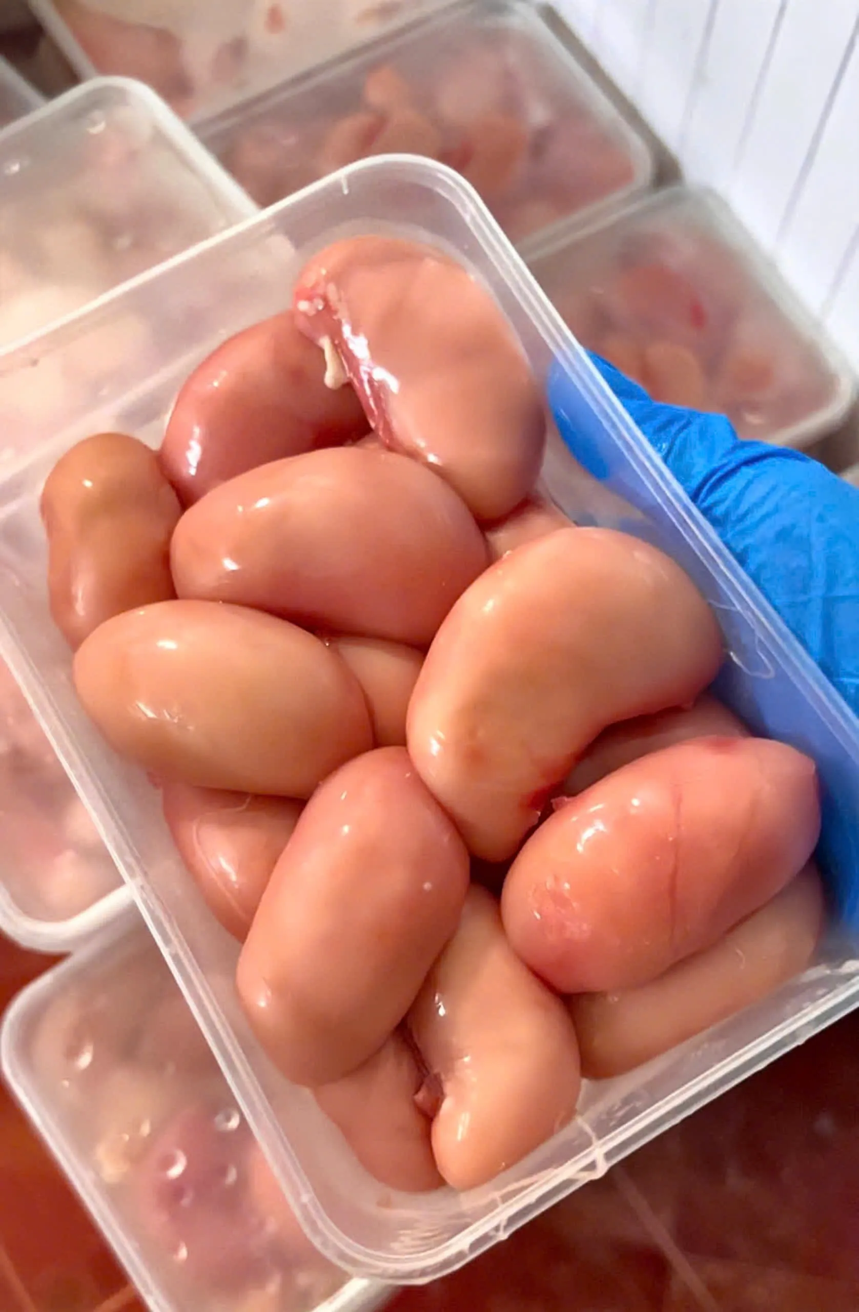 Nguyên liệu chuẩn bị cho món canh kê gà bổ dưỡng