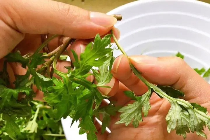 Canh trứng lá ngải hấp dẫn