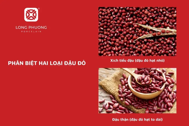 Đậu đỏ hạt nhỏ (xích tiểu đậu) có nhiều dược tính quý