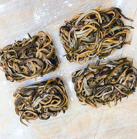 Hướng Dẫn Chi Tiết Cách Nấu Cháo Rắn Đậu Xanh Chuẩn Vị