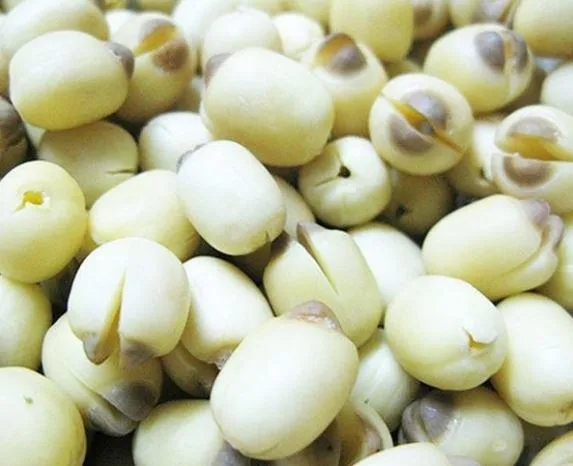 Bóc vỏ và loại bỏ tâm sen