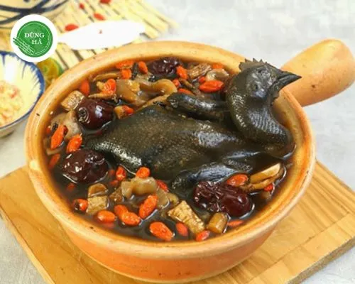 cách nấu gà hầm thuốc bắc