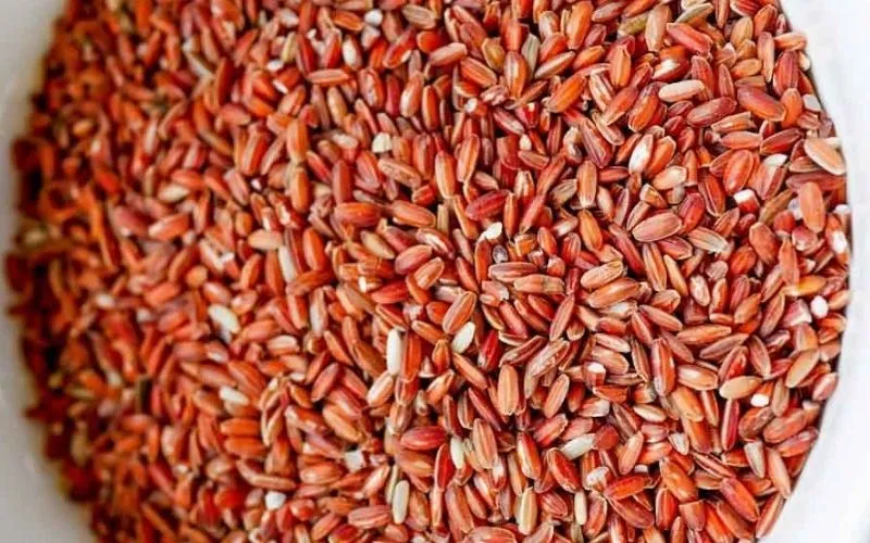 Công dụng của gạo lứt