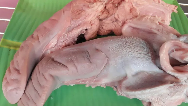 Hướng dẫn cách chọn lưỡi heo tươi ngon có màu sắc sáng tự nhiên