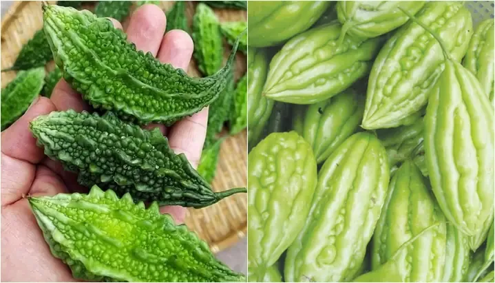 Mướp đắng xào trứng thơm ngon, ít đắng tại nhà