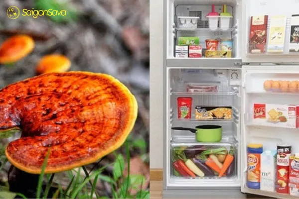 Bảo quản nước nấm linh chi táo đỏ đúng cách để sản phẩm luôn tươi ngon