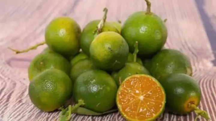 Cận cảnh trái tắc tươi rói chuẩn bị sơ chế