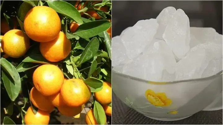 Nồi nước tắc đường phèn đang sôi liu riu trên bếp