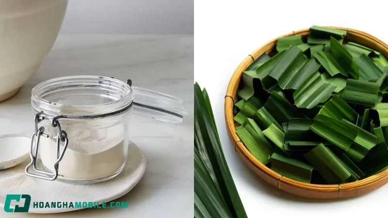 Rau câu lá dứa với màu xanh mát và hương thơm dịu nhẹ