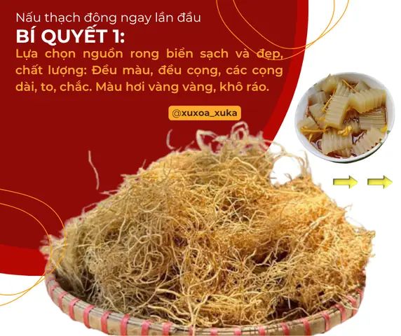 Cách Nấu Rau Câu Rong Biển Tươi Dai Ngon, Thanh Mát Chuẩn Vị