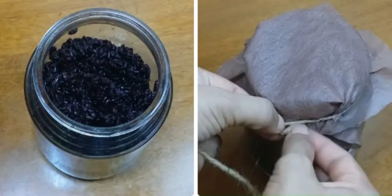 Ủ cơm rượu nếp cẩm