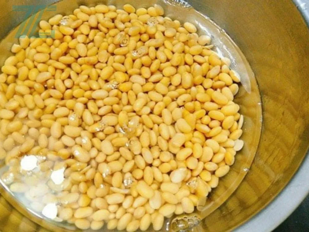 Sơ chế đậu nành