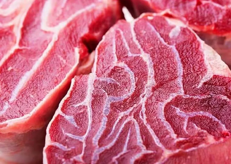 Chọn bắp bò tươi có đường vân mỡ đều giúp món ăn không bị khô