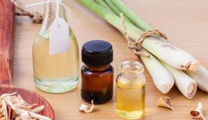 Cách Nấu Tinh Dầu Sả Tại Nhà: Hướng Dẫn Chi Tiết Để Có Tinh Dầu Nguyên Chất