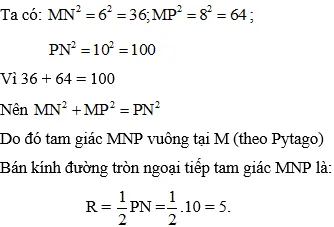 Tam giác vuông MNP