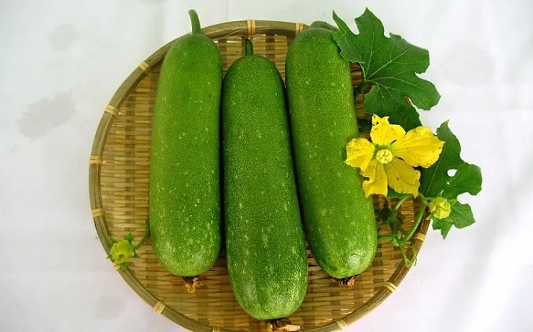 Mẹo chọn bí xanh tươi và lưu ý khi thực hiện cách nấu canh bí xanh với xương