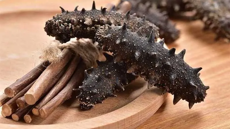 Hải sâm tươi sau khi sơ chế