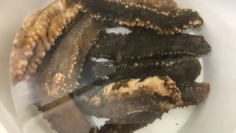 Hình ảnh minh họa quá trình sơ chế hải sâm khô đang được ngâm và làm sạch