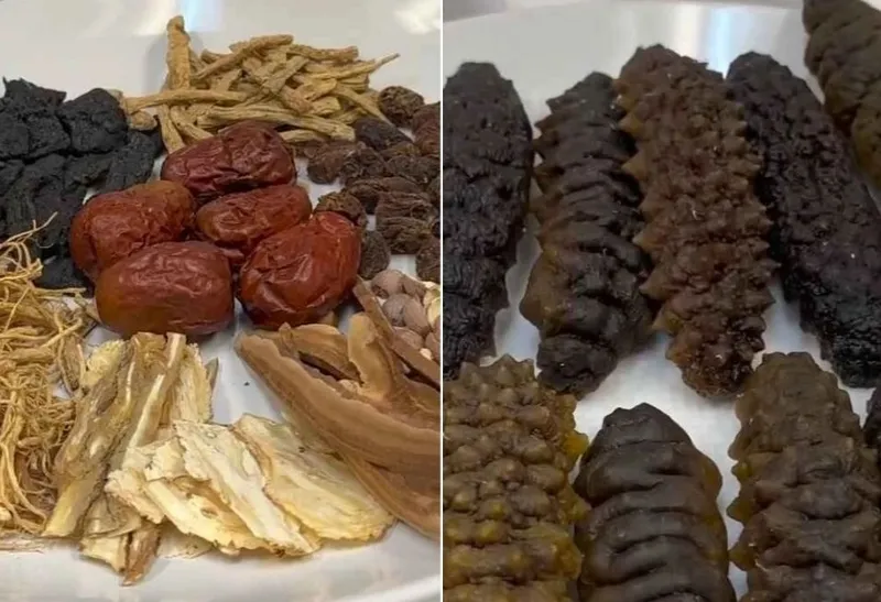 Thành phẩm hải sâm hầm thuốc bắc hấp dẫn, nước dùng đậm đà, nguyên liệu chín mềm