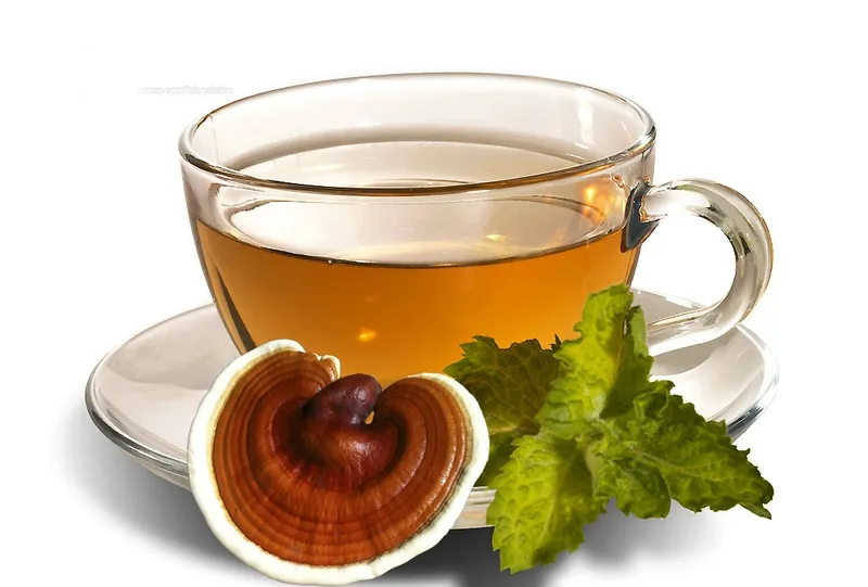 Trà nấm linh chi là cách đơn giản dễ làm nhất cho sức khỏe gia đình bạn