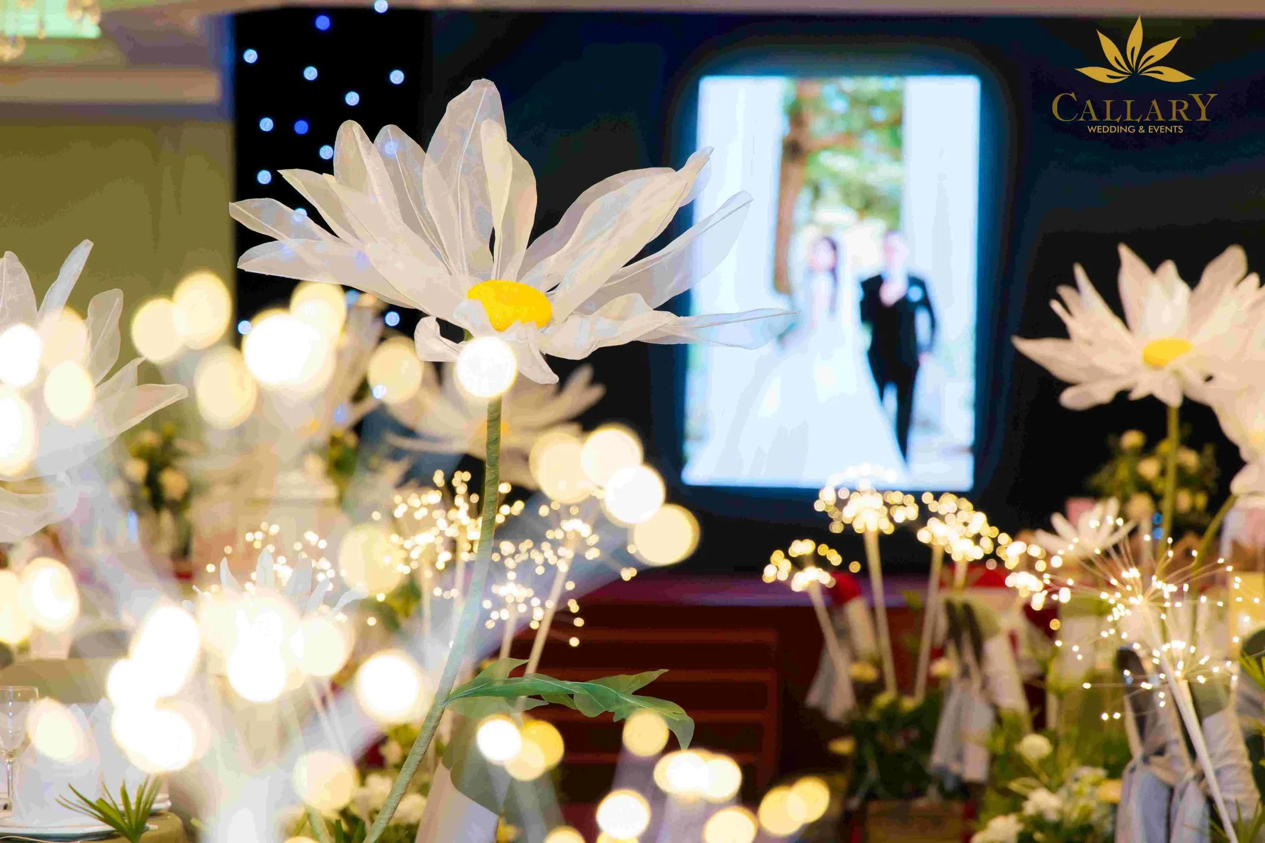 Tiêu chí lựa chọn sảnh tiệc hoàn hảo đáp ứng mọi nhu cầu của bạn