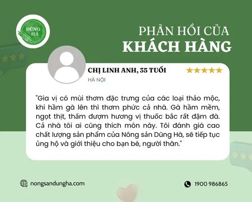 cảm nhận về gia vị gà hầm thuốc bắc
