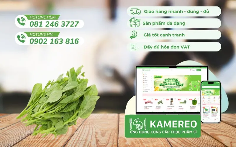 Kamereo – Nhà cung cấp sỉ rau mùng tươi ngon, giá tốt, tối ưu cho doanh nghiệp F&B