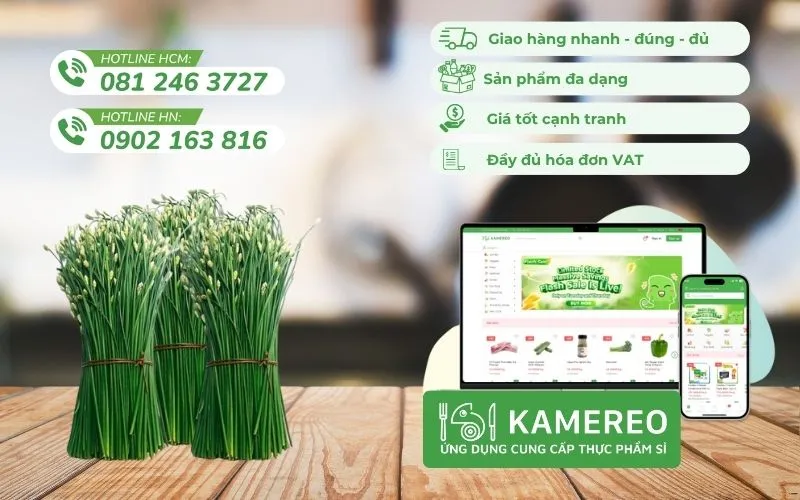 Cung cấp nguyên liệu rau củ quả tươi sạch cho quán ăn