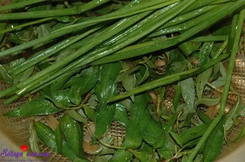 canh ngao nấu dứa 2