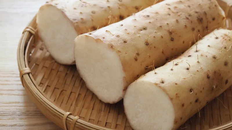 Lựa chọn khoai từ tươi ngon