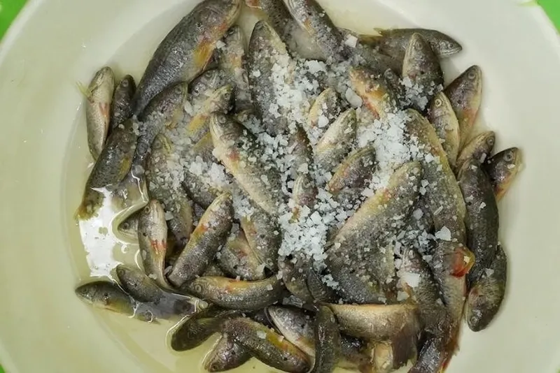Cá rô đã sơ chế sạch, sẵn sàng ướp gia vị