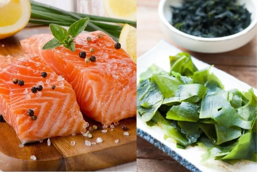 Cháo cá hồi rong biển bổ sung i-ốt tự nhiên