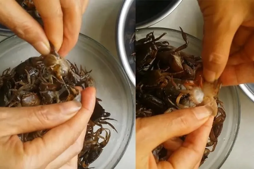 Sơ chế thịt cua đồng cẩn thận để món cháo không tanh