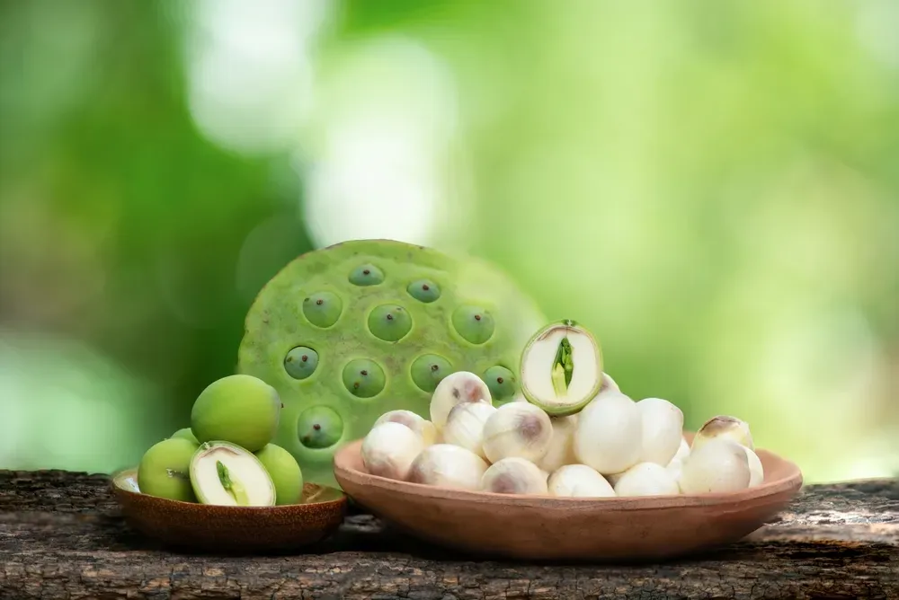 Cháo gà hạt sen bổ dưỡng hỗ trợ bé ngủ ngon giấc