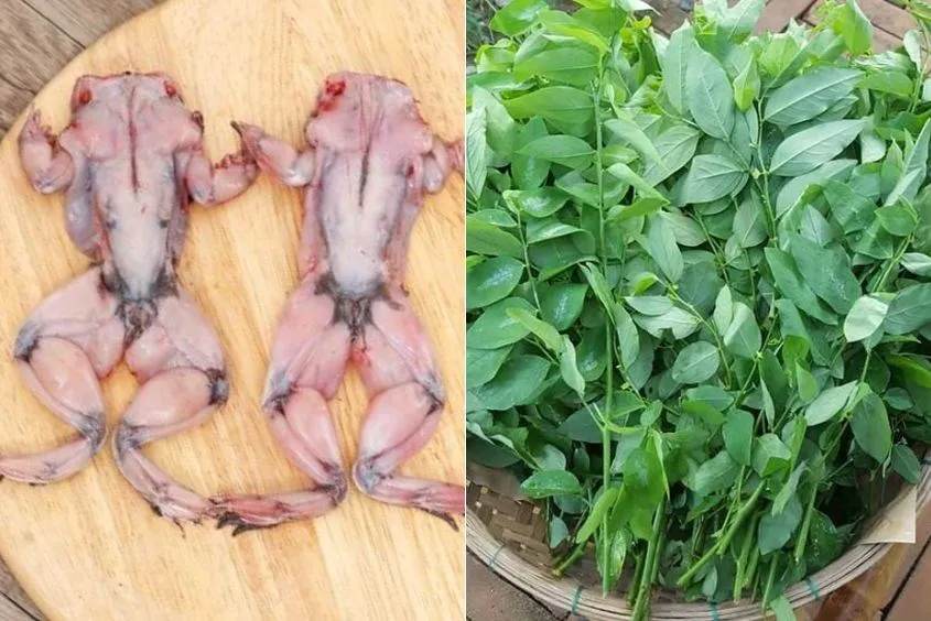 Rau ngót nấu cùng thịt ếch giúp thanh nhiệt cơ thể bé