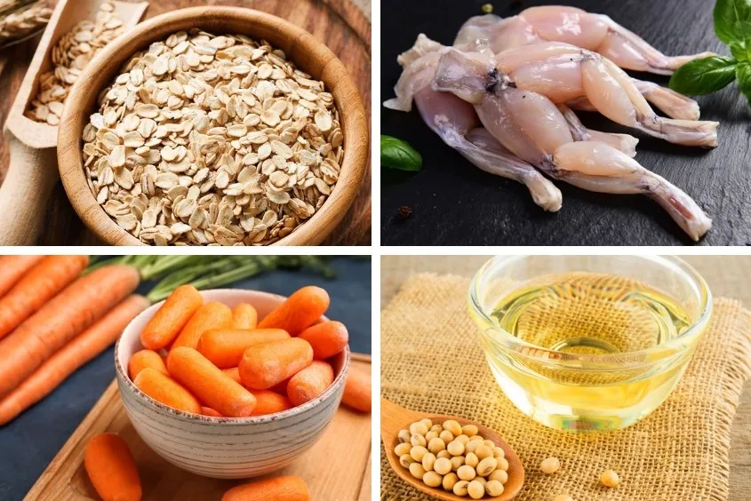 Món cháo ếch yến mạch cà rốt giàu chất xơ cho trẻ ăn dặm