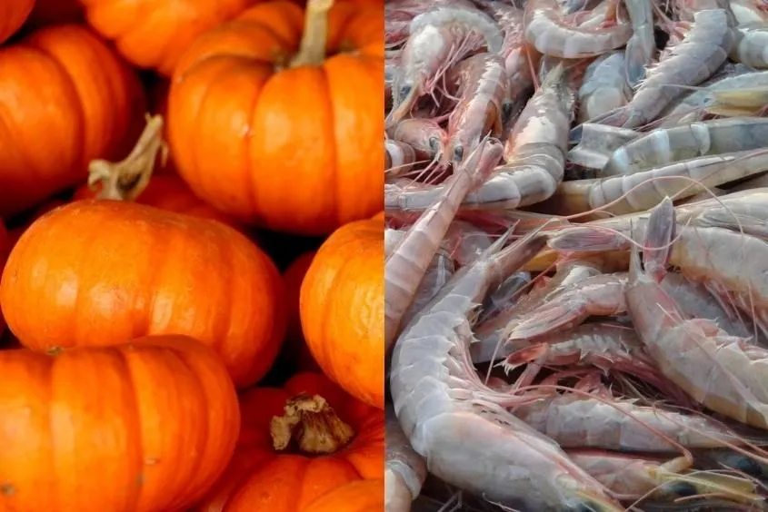 Bí đỏ và tôm trong cháo hạt sen giúp món ăn đẹp mắt và giàu dinh dưỡng