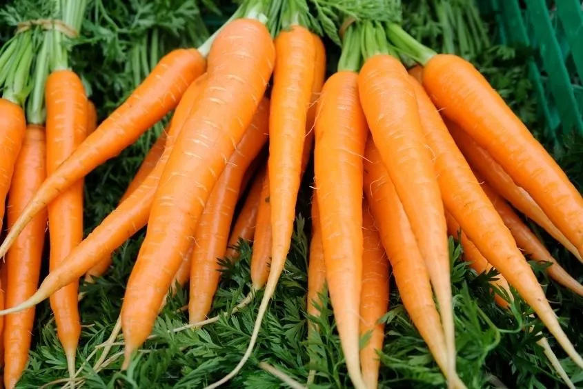 Cháo hạt sen cà rốt cho bé vừa dễ nấu vừa dễ ăn