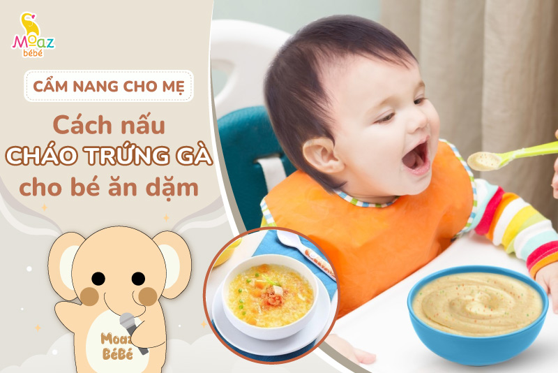 Cách Nấu Cháo Chim Cho Bé Ăn Dặm Thơm Ngon, Giàu Dinh Dưỡng