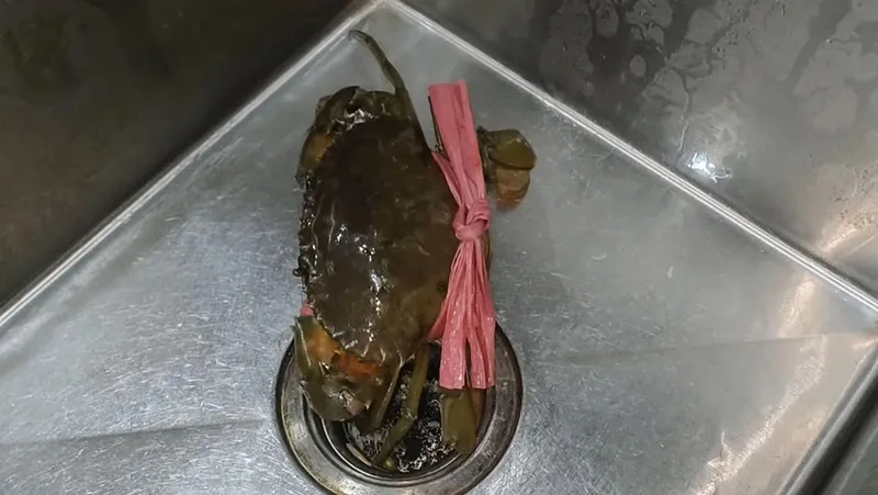 Sơ chế cua biển sạch sẽ để loại bỏ mùi tanh