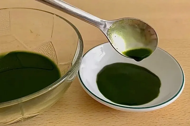 Quá trình chuẩn bị nước cốt lá dứa để tạo màu xanh và hương thơm cho cháo