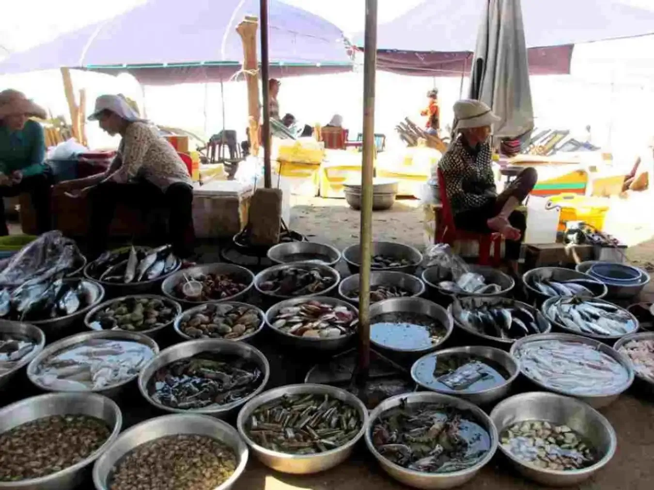 Hải sản tươi sống tại các quán ở Hồ Tràm